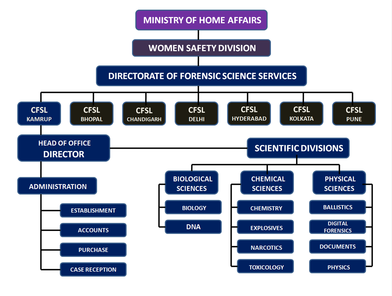 Organization Structure